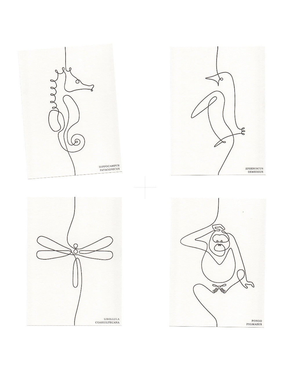 4 Karten mit je einem verschiedenen Tiermotiv. Zu sehen sind: Seepferdchen, Pinguin, Libelle & Affe. Alle Motive sind im Onlinedrawing Stil.